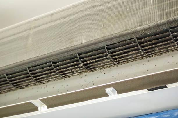 Best Dryer Vent Cleaning Services  in Reisterstown, MD